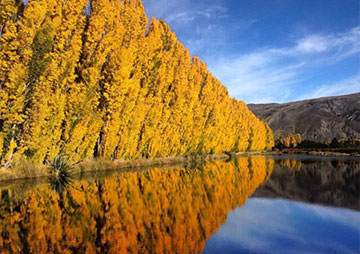 Sarita Orchard Dam image