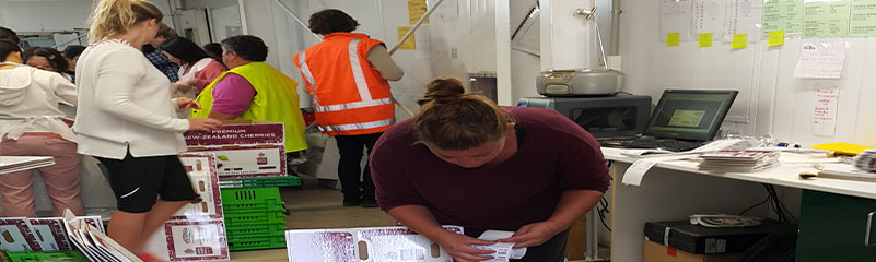 workers image